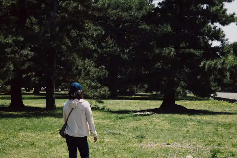 Person walking a dog across a grassy park