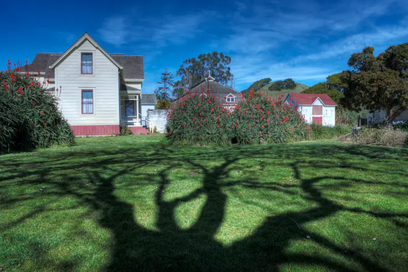 Country house on a large lot with shade trees